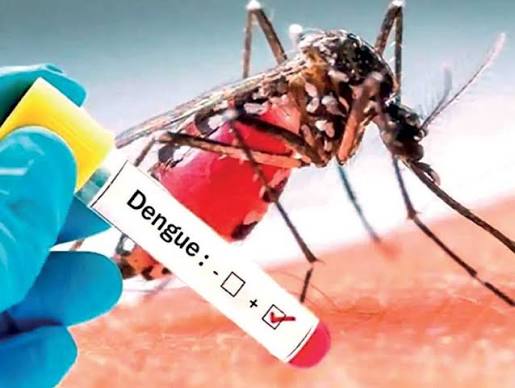 කොළඹ ඩෙංගු නුවරඑළියට ගිහින් 
