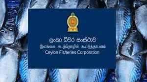 ලංකා ධීවර සංස්ථාව ලාභ කරන්න නව සැලැස්මක්