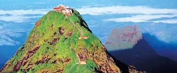 ශ්‍රීපාදයේ  පොලිතීන් සහ ප්ලාස්ටික් භාවිතය අවම කිරීමට කැබිනට් මණ්ඩලය ගත් තීරණය 