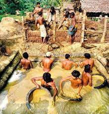 පතල් කර්මාන්තයේ නිරත කාර්මිකයින්ට රක්ෂණයක් 