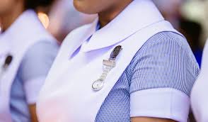 2025 සිසු හෙද පුහුණුවට බඳවා ගැනීමේ සම්මුඛ පරීක්ෂණ හෙට සහ අනිද්දා 