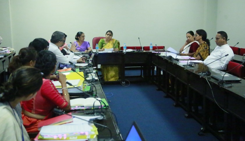 ක්ෂුද්‍රමුල්‍ය සහ ණය නියාමන අධිකාරිය පනත් කෙටුම්පත සඳහා යෝජිත සංශෝධන සම්බන්ධයෙන් ආංශික අධීක්ෂණ කාරක සභාවේ අවධානය