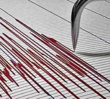 ජපානයේ භූකම්පනයක් 