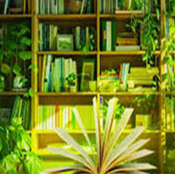 ජාතික පාරිසරික තොරතුරු මධ්‍යස්ථානය නවීන ඩිජිටල් දැනුම් කේන්ද්‍රයක් ලෙස සංවර්ධනය කෙරේ