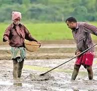 ගොවි විශ්‍රාම වැටුප් ගෙවීමේ කාලසීමාව දීර්ඝ කෙරේ