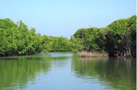 කැලණි ගඟ සුරැකීමේ ශ්‍රී ලංකාව සහ ජපානය එක්වූ දත්ත ව්‍යාපෘතියට කැබිනට් අනුමැතිය