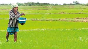 වී ගොවීන්ගේ ගැටලු විසඳීම සඳහා ස්ථීර වැඩපිළිවෙළක් සැකසීමට සාකච්ඡාවක්