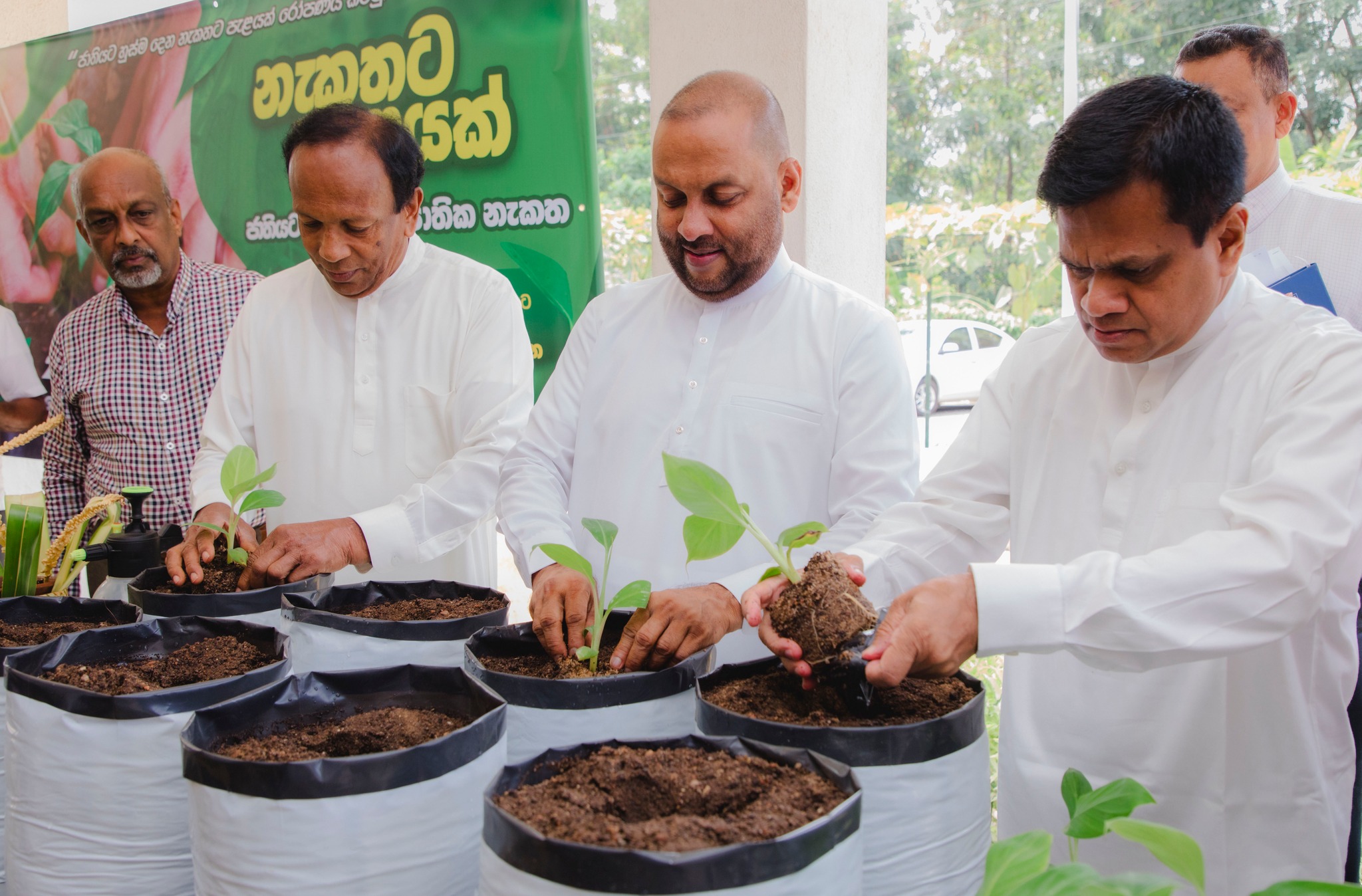 නැකතට පැළයක් වැඩසටහනින් ලක්ෂයකට වැඩි ගෙවතු වගා