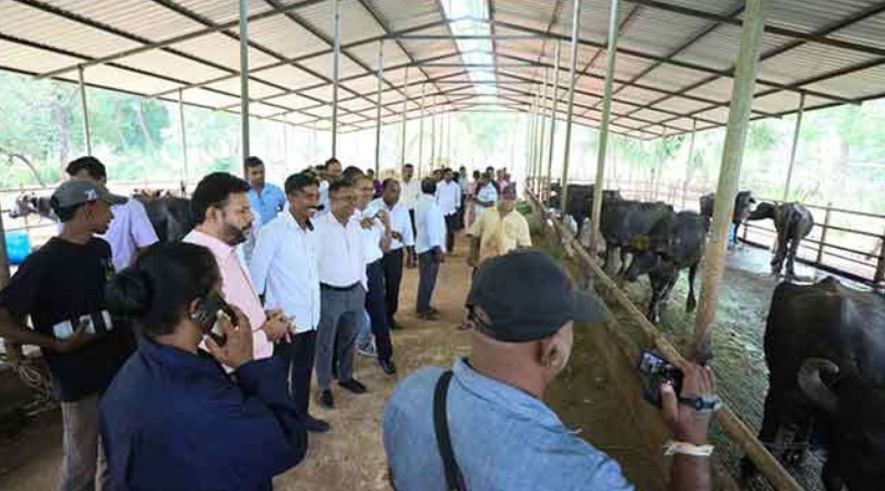 ජාතික පශු සම්පත් පශ්චාත් ආපදා හදිසි එන්නත්කරණ වැඩසටහන ඇරඹෙයි