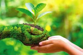ජගත් පරිසර දිනයට සමගාමීව පරිසර සතියක් 
