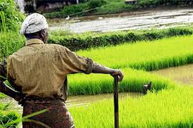 කෘෂිකාර්මික ව්‍යාපෘති පිළිබඳව ගොවි ජනතාව දැනුවත් කිරීමේ වැඩපිළිවෙළක්