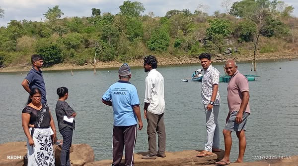 අම්පාර - මහඔය වැව්වලට මත්ස්‍ය පැටවු ලක්ෂ දෙකක් මුදා හැරේ