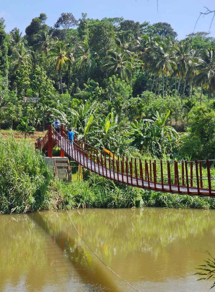 මාතලේ සුදු ගඟ හරහා ඉදිකරනු ලැබු අංකන්ද එල්ලෙන පාලම ජනතා අයිතියට