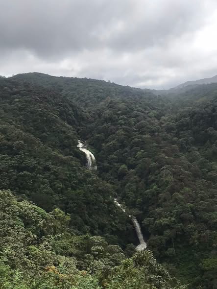 නුවරඑළිය ඇල්ජින් වනාන්තරය සංරක්ෂිත වනාන්තරයක් ලෙස ගැසට් කරයි