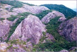 'ජාතික නාමල් උයන' ජාතික උරුමයක්  කිරීමට තීරණය කරයි 