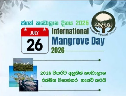 කඩොලාන පරිසර පද්ධති සුරැකීමේ ජාත්‍යන්තර දිනය අදයි
