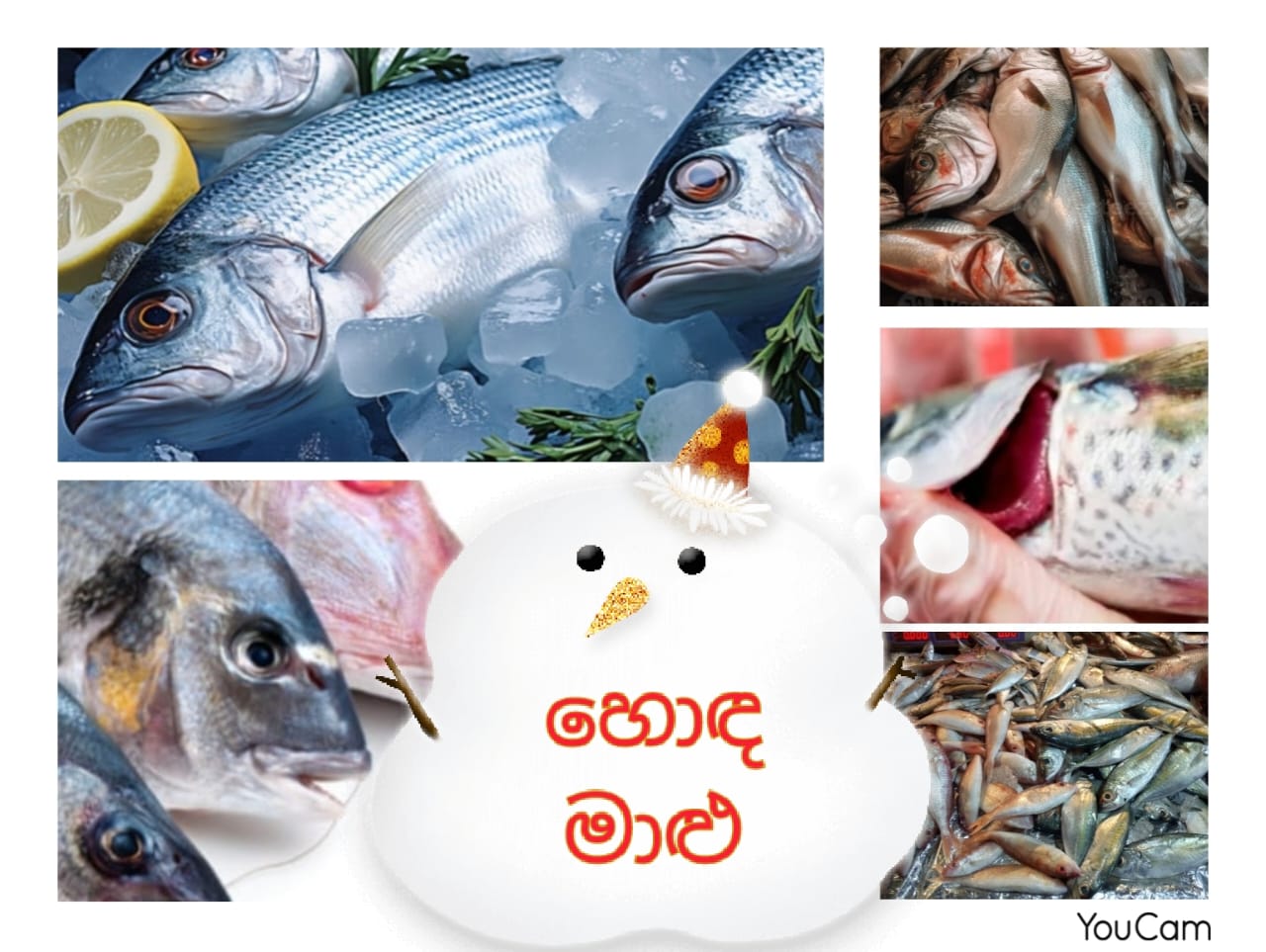 නැවුම් මාළු හඳුනා ගන්නේ කෙසේද ? 