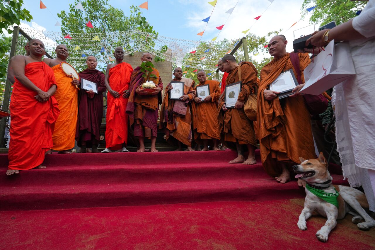 සාම පාගමන ආරම්භ ආගමික වැඩසටහන ලෙස ජය ශ්‍රී මහා බෝධීන් වහන්සේගේ අංකුරය පූජා කරයි 