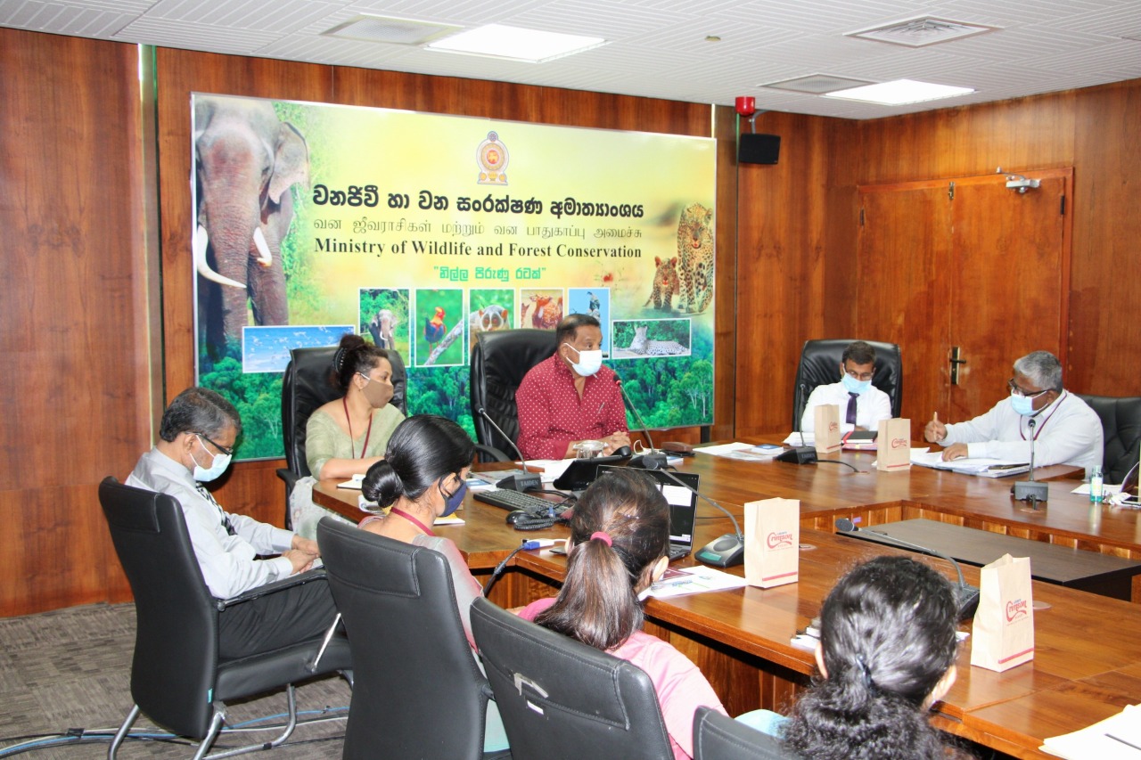 WhatsApp Image 2021 01 12 at 14.35.35