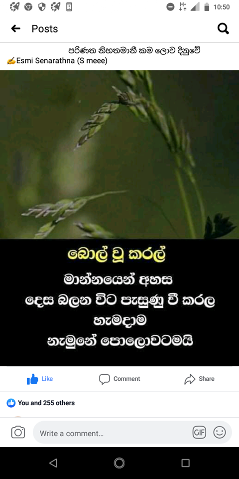 බොල් වූ කරල්