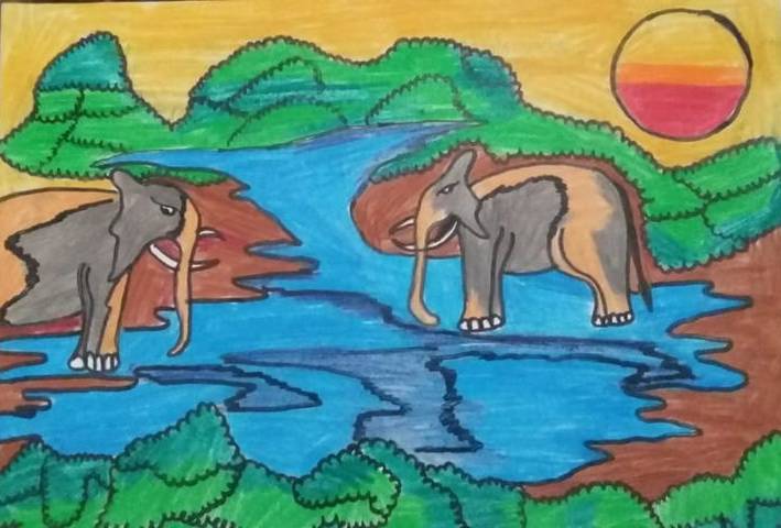 Elephants