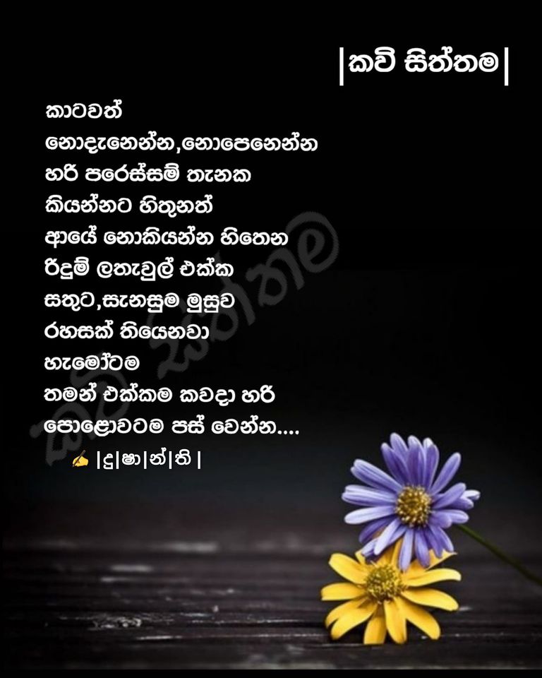 කවි සිත්තම