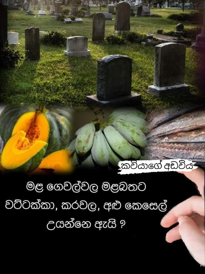 ආහාර වට්ටෝරුව