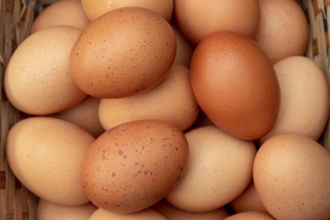 Govt. brings down egg price to Rs. 10